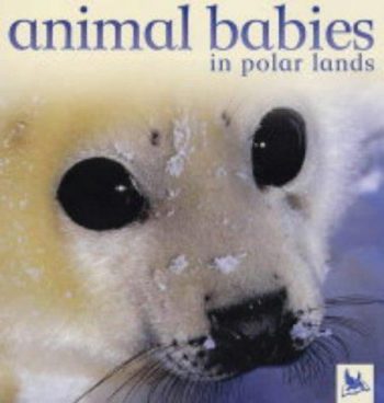 Animal Babies in Polar Lands
